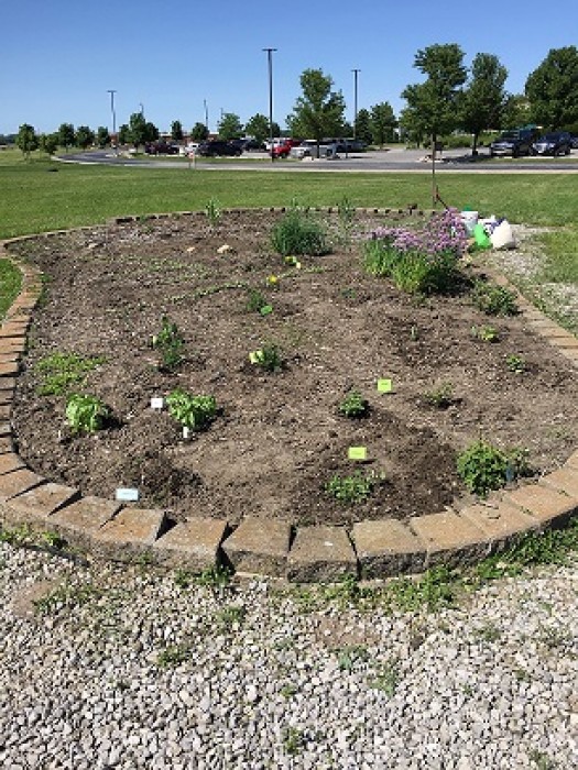 Herb Garden at The Bellevue Hospital in Ohio